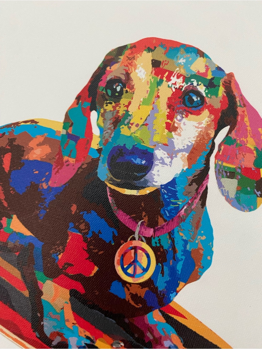 Colorful Dachshund Skateboard Pet Wall Art - Multicolor canvas